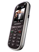 Best available price of Motorola WX288 in Barbados
