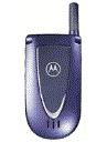 Best available price of Motorola V66i in Barbados